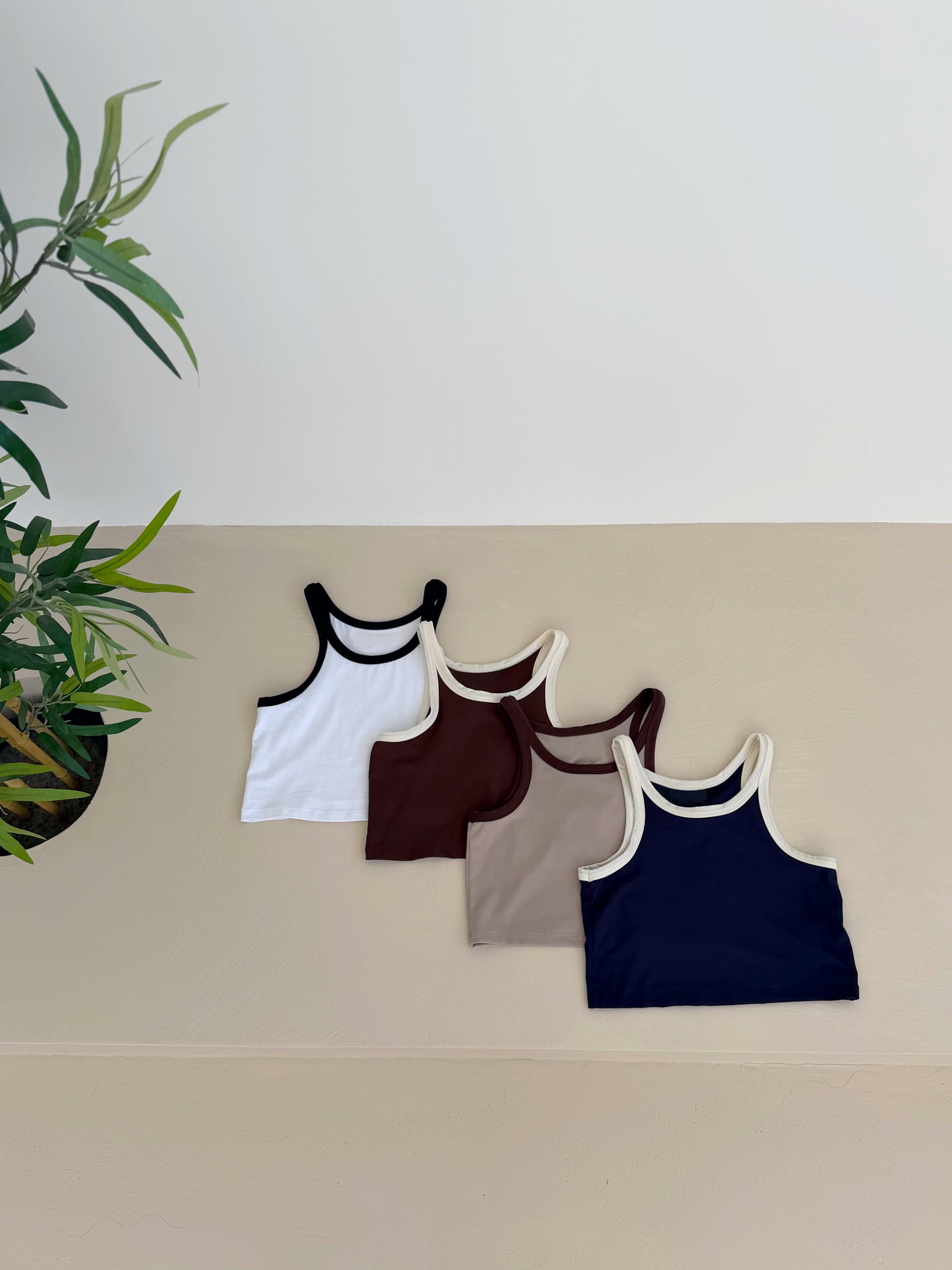 TOP CROP SANTA MONICA - MARRONE 1955